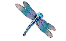 dragonfly-simbol